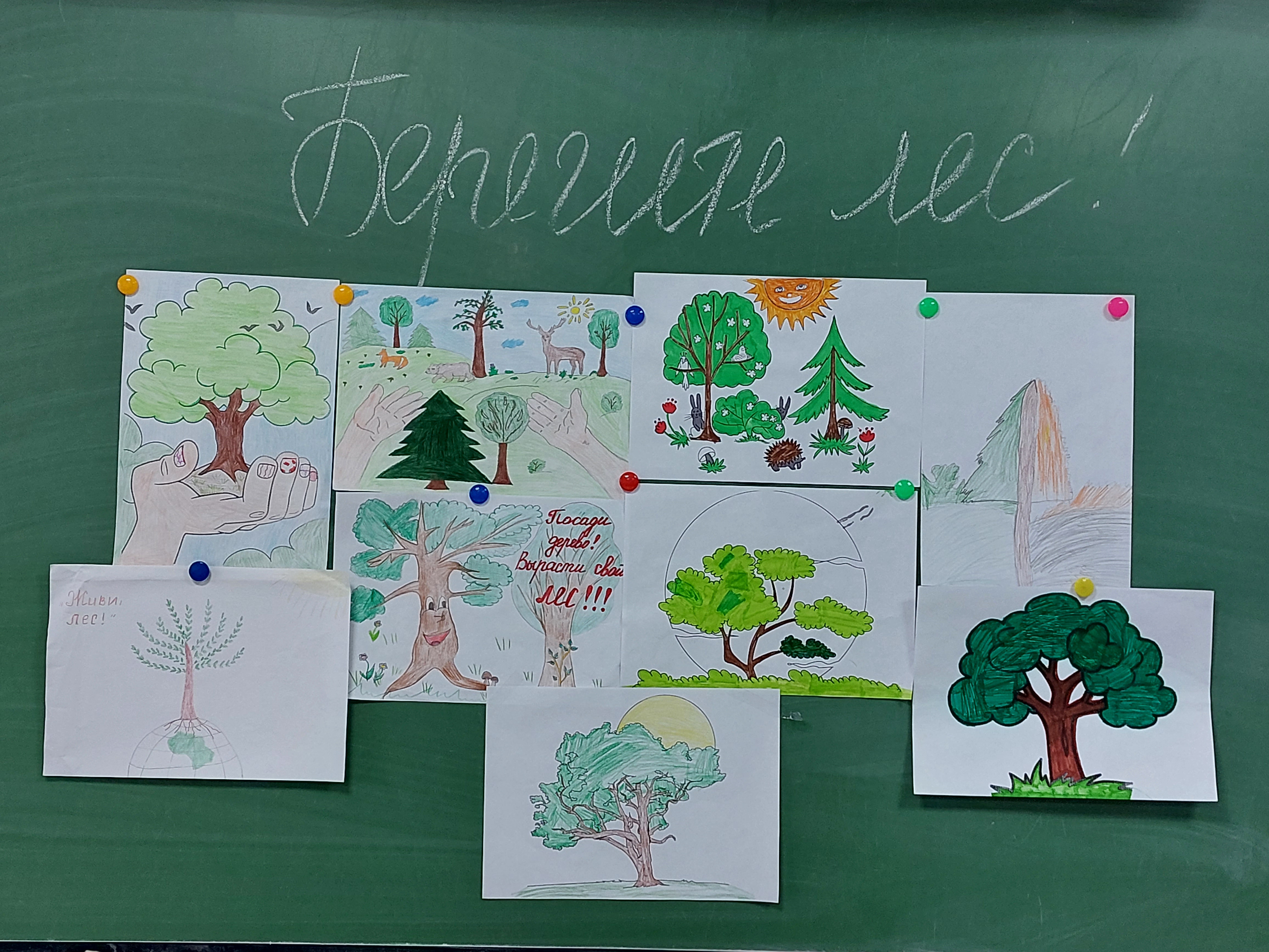 Международный день лесов рисунок